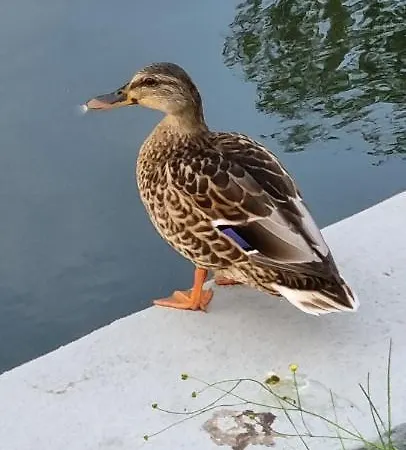 Apartment Przy Porcie 54m2 Oraz 31m2 Z Tarasem Wegorzewo